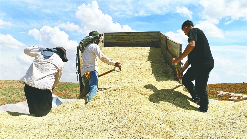 TMO 2.5 milyon ton ürünü stoklarına aldı