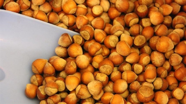 'TMO bünyesinde önümüzdeki hafta fındık alımını gerçekleştireceğiz'