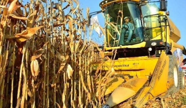 TMO duyurdu! Üreticiden ücret alınmayacak