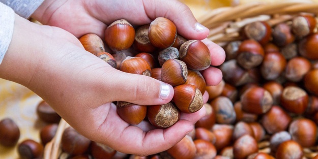 TMO üreticilerin yanında