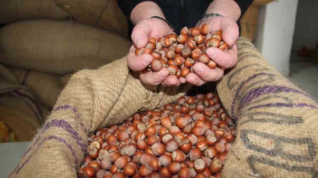 TMO’dan manipülasyon uyarısı: İddialar gerçeği yansıtmıyor