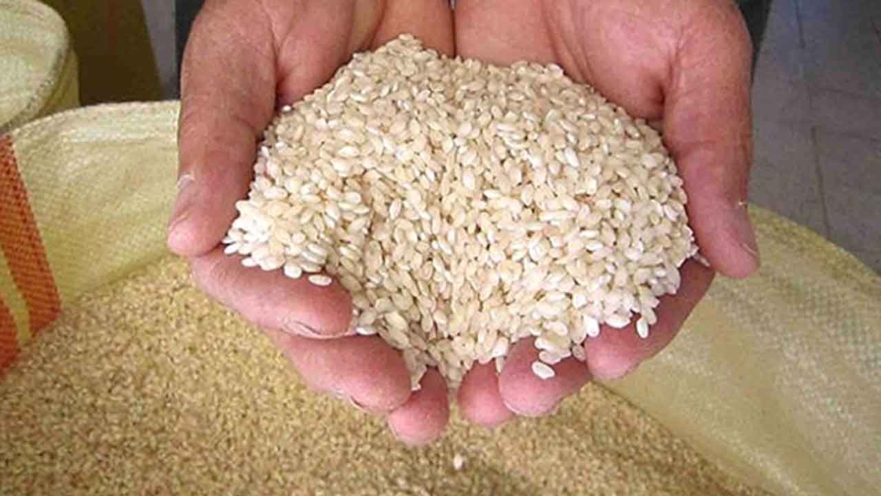 TMO'dan "Yunan pirinci" iddialarına sert yalanlama! "Tamamı yerli ve milli üreticimizden!"