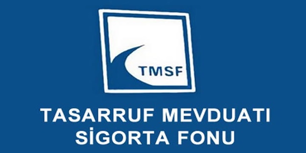 TMSF iki şirketi satışa çıkardı