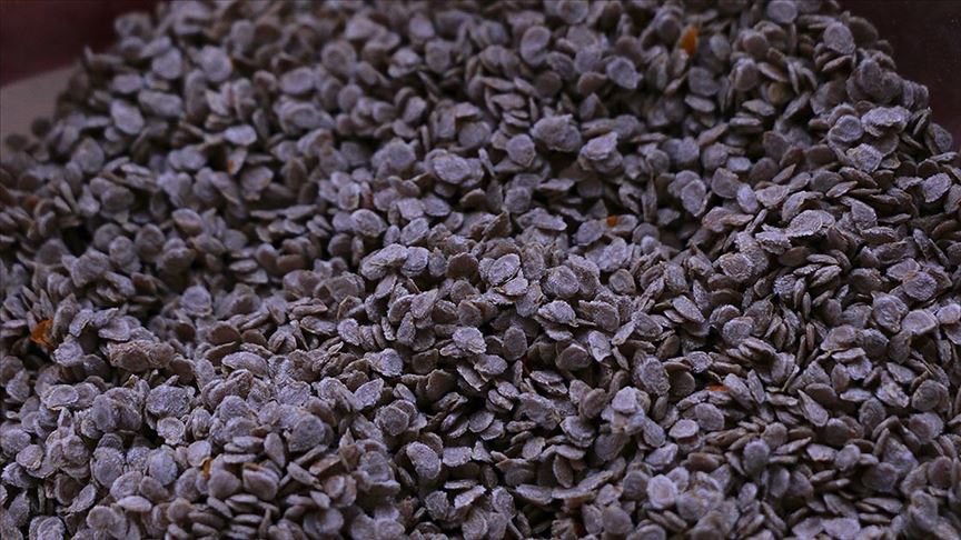 Tohumda yüzde 75 hibe tarımda üretimin artmasına katkı sağlayacak