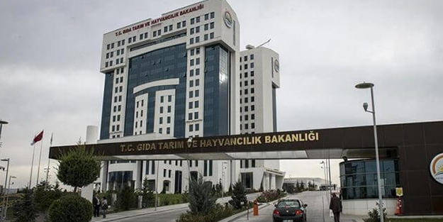 Tohumluk başvuruları elektronik olarak yapılabilecek