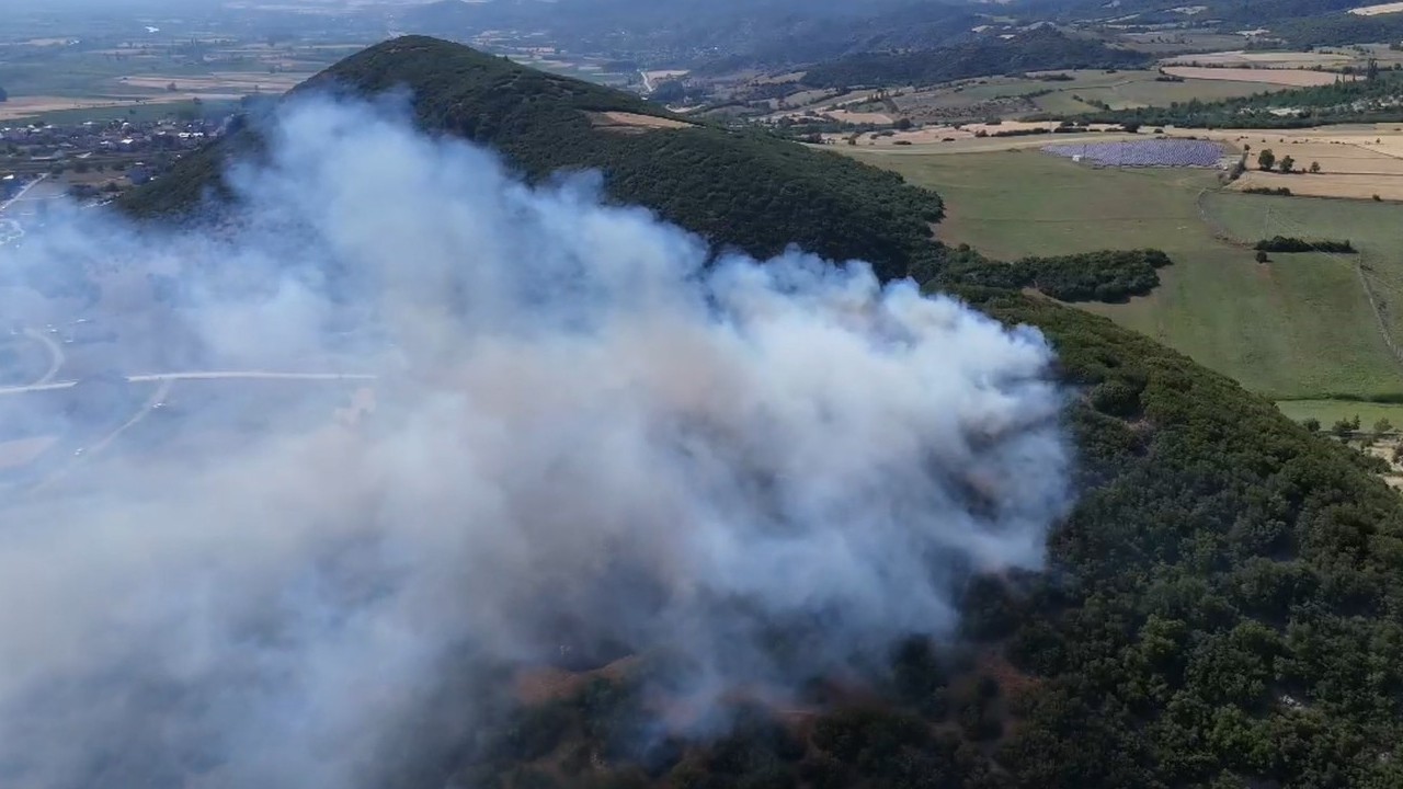 Tokat’ın Niksar ilçesinde orman yangını