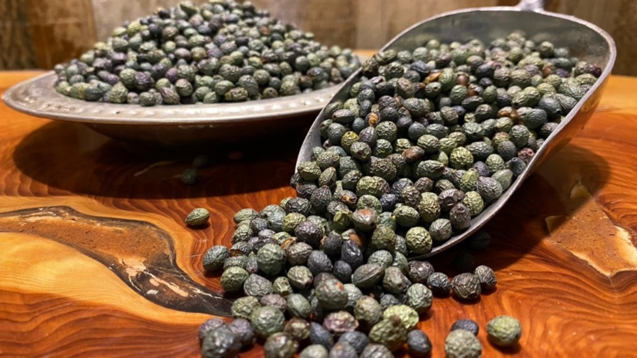 Tokat’ın şifalı lezzeti: Çedene kahvesi yeniden popüler