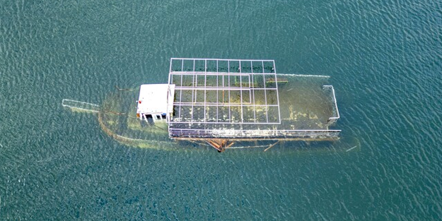 Tokat'ın 'Titanik'i kurtarılacağı günü bekliyor!