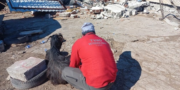 Tokatlı veteriner hekimler 6 keçiyi enkazdan çıkardı
