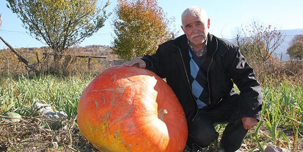 Görenleri hayrete düşürüyor!
