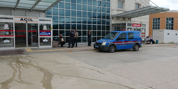 Tokat'ta ayı küçük çocuğa saldırdı!