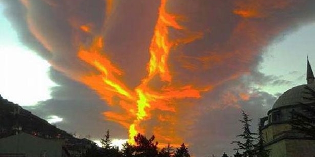 Görenleri şaşırtan görüntü