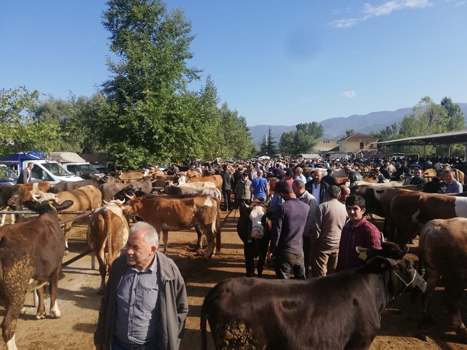 Tokat’ta kurbanlık satıcılarına sahte para uyarısı 