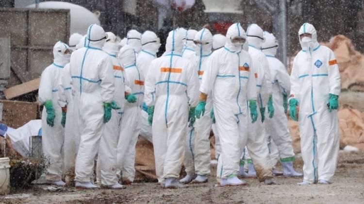 Tokat'ta kuş giribi alarmı!