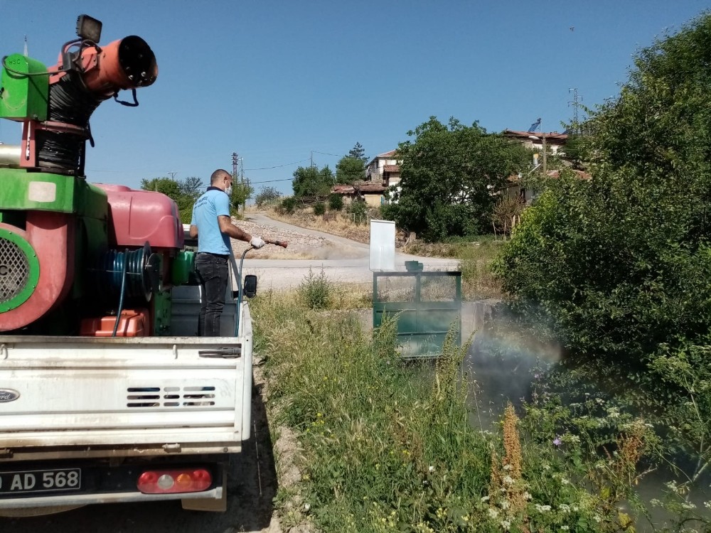 Tokat’ta, larva ve haşerelere karşı ilaçlama 