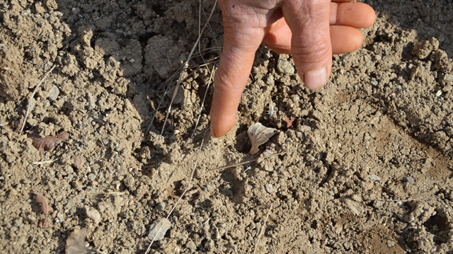 Tokat'ta mahalleliyi korkutan olay