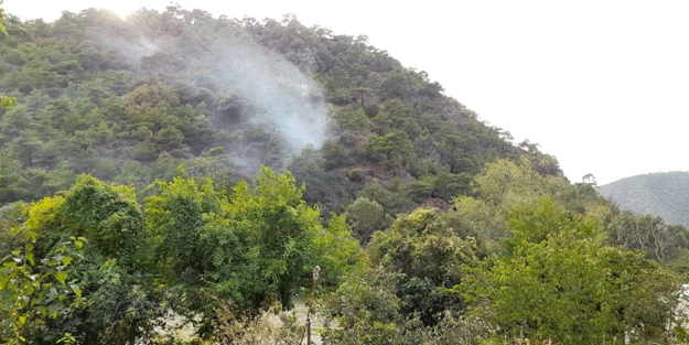 Tokat'ta ormanlık alanda yangın