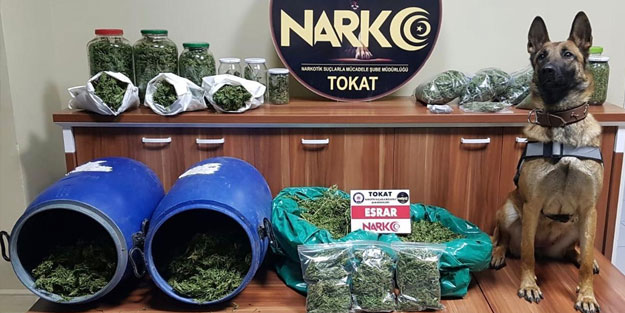 Tokat'ta uyuşturucu ticareti yapanlara yönelik operasyon
