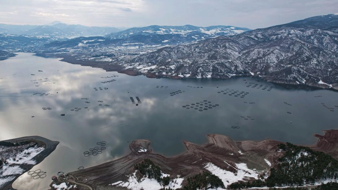 Tokat'ta yetiştirip tüm dünyaya satıyorlar! Bu sene rekor kıracak