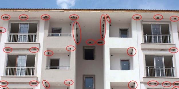 TOKİ inşaatına onlar için ara verdi!