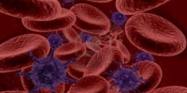 Toksikoz Zehirlenme nedir?