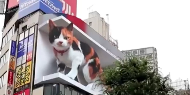 Tokyo meydanında halkı selamlayan üç boyutlu kedi ilgi odağı oldu