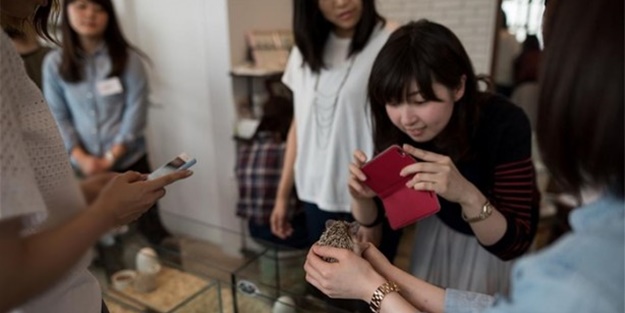 Tokyo'da sıra dışı konseptli kafe