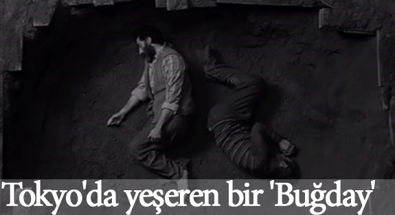 Tokyo'da yeşeren bir 'Buğday'