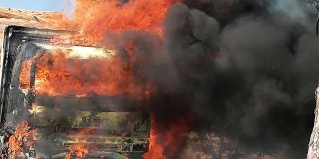 Tomruk yüklü kamyonda yangın!