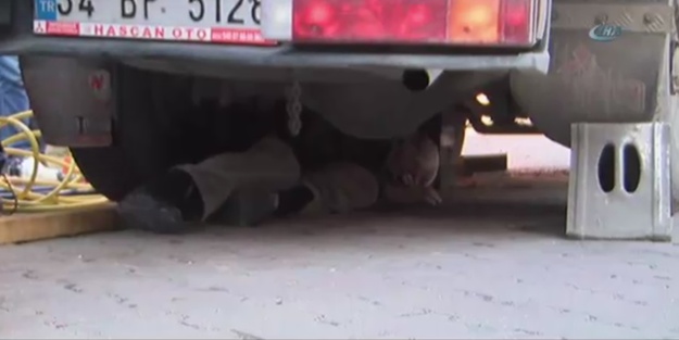 Tonlarca ağırlığın altında kurtarılmayı bekledi!