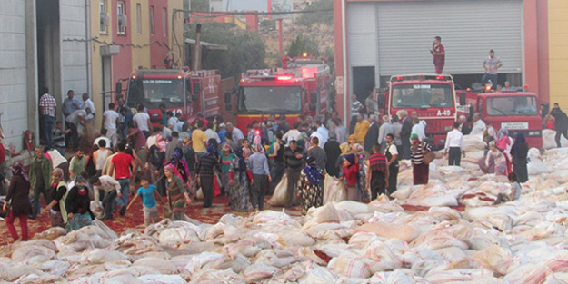 Tonlarca pul biber...