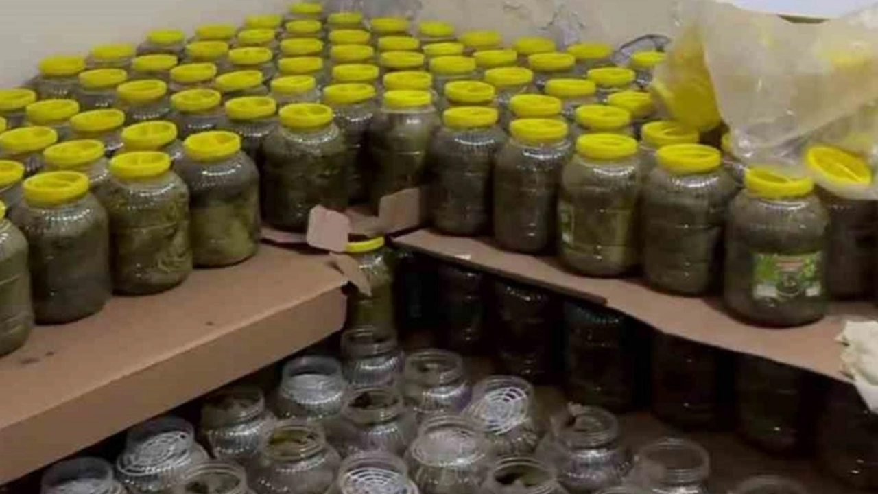 Tonlarca kimyasal basılmış salamura 'doğal köy ürünü' yakalandı!