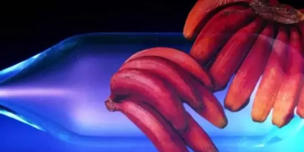 Tonlarca muz kabuğundan çıkarıldı! Geleceğin petrolü için hayrete düşüren çalışma! Brent petrol tarih mi olacak?