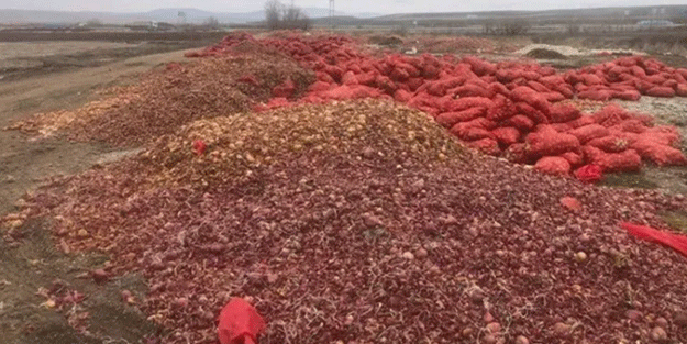Tonlarca soğanı yol kenarına döktüler