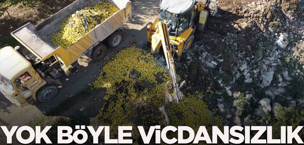 Tonlarcası dere yatağına döküldü... Yok böyle vicdansızlık!