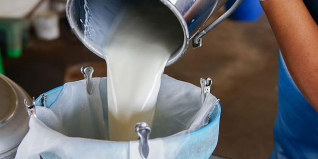 Toplanan inek sütü miktarı aralıkta azaldı