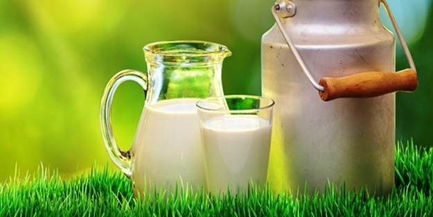 Toplanan inek sütü miktarı ekimde arttı