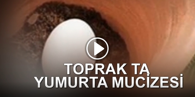 Toprağa çiğ yumurta gömerseniz ne olur ?