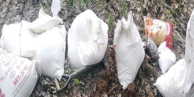 Toprağa gömülmüş 60 ton patlayıcı bulundu