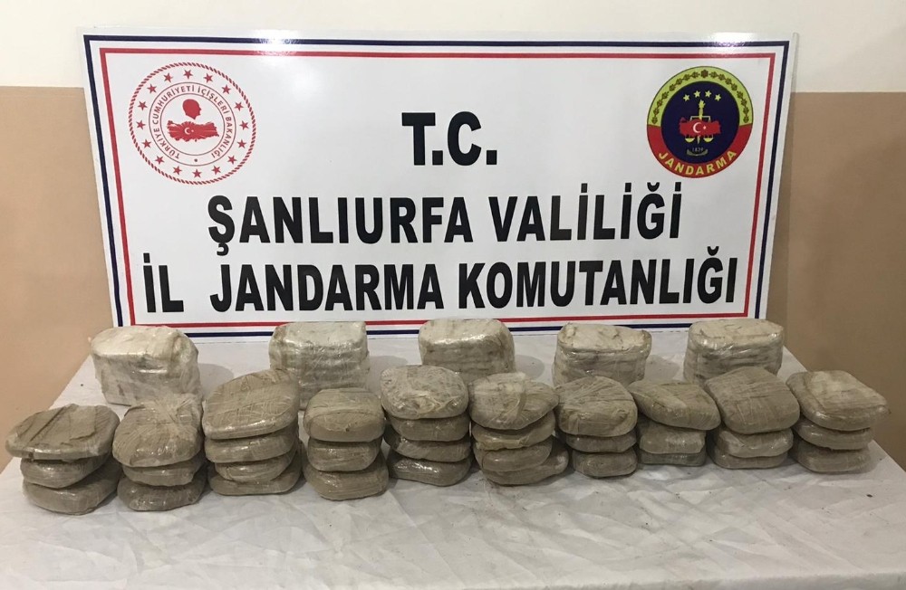 Toprağa gömülü halde satışa hazır 20 kilo esrar ele geçirildi 