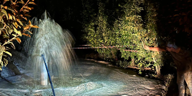 Toprağı kazdıkça yerin altından fışkırdı! Boyu 1 metreyi geçti, mahalleli sevinçten havalara uçtu