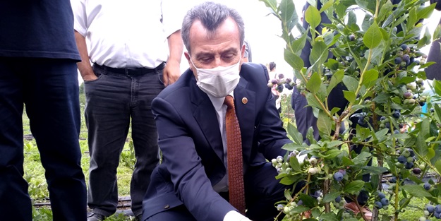 Toprak Büyükşehir’le bereketleniyor