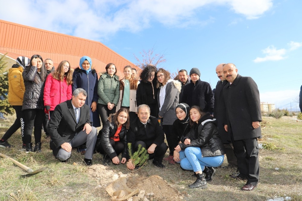 Toprak Dede için fidan dikildi 