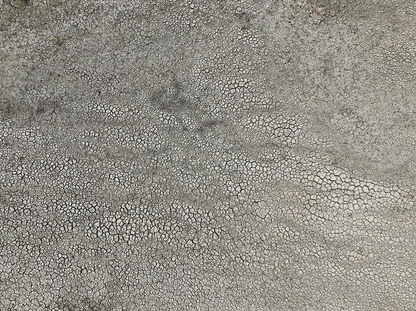 Topraklar çatladı, kuraklık kapıya dayandı! Büyükçekmece Gölü'nde korkutan manzara