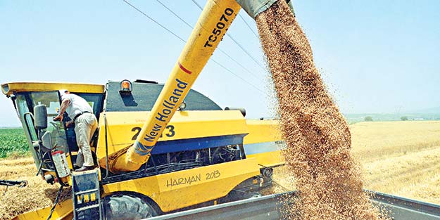 Topraklara bereket yağdı