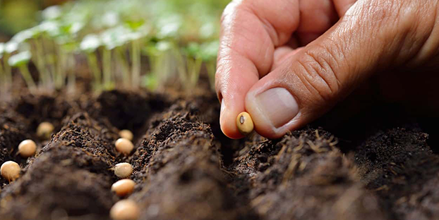 Topraklarından petrol fışkırıyor ama ülkelerindeki tarımı kurtarmak için Türkiye'nin kapısını çaldılar! Onu istiyorlar