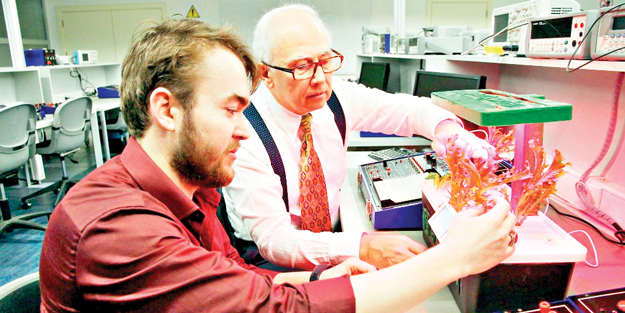 Topraksız tarımda teknoloji devri