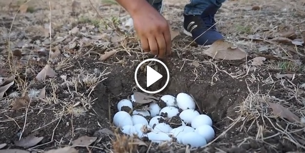 Toprakta sıra dışı yumurta pişirme yöntemi