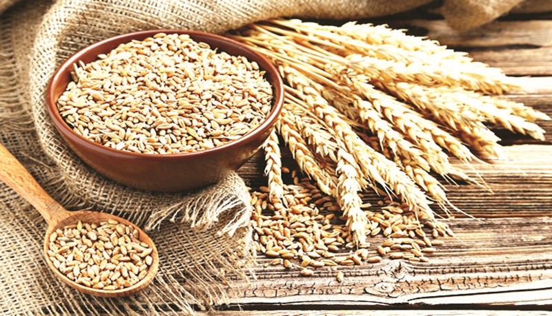 Topraktan fışkıran bereket üreticiye şükrettirdi