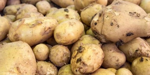 Toptancılardan patates açıklaması: Fiyatlar...